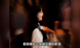 爆炸瓜视频 明星大侦探,爆炸瓜视频揭秘！明星大侦探幕后真相大曝光